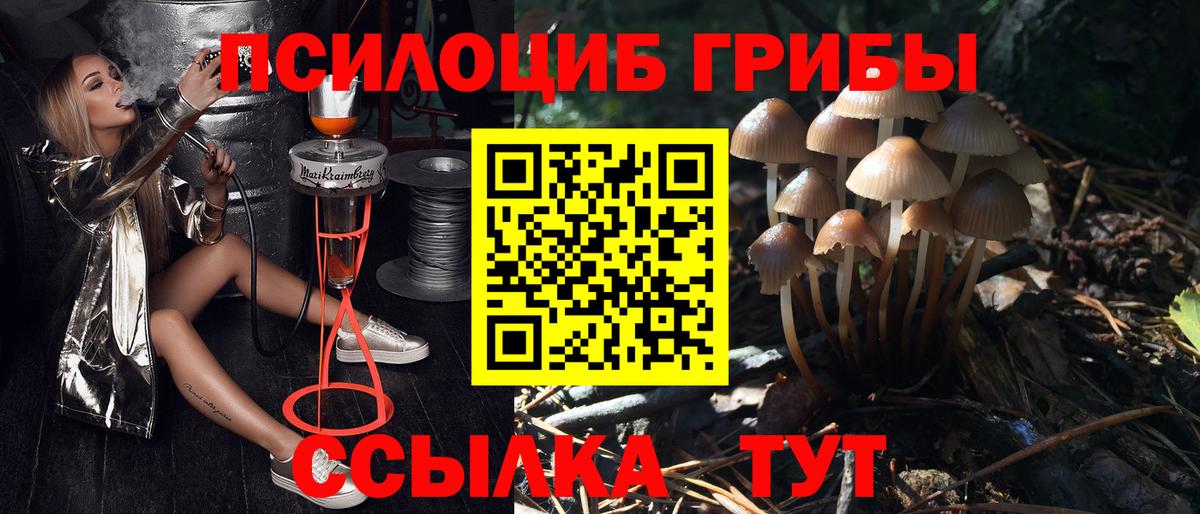 Ульяновск  Галлюциногенные грибы Psilocybe  Вход с VPN 